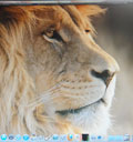 OS X Lion を早速インストール(写真・動画あり)