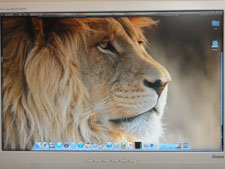 OSX Lion CXg[