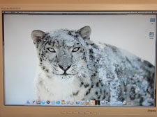 OSX Lion CXg[